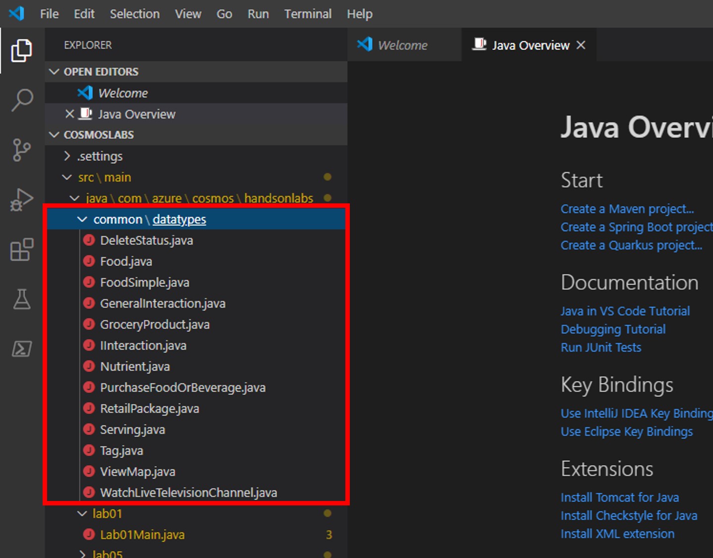 Expand datatypes in Visual Studio Code